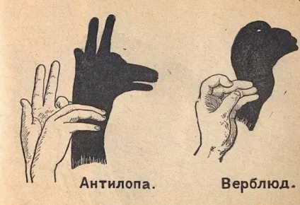 Як скласти пальці в тінь тваринного театр тіней на дому як зобразити собаку руками на тіні блоги