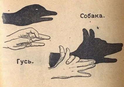 Як скласти пальці в тінь тваринного театр тіней на дому як зобразити собаку руками на тіні блоги