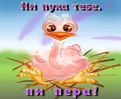 Як зняти стрес перед іспитом », контент-платформа