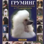 Як прибрати зубний камінь і почистити собаці зуби собака без проблем (зубної) Як прибрати зубний камінь і почистити собаці зуби собака без проблем