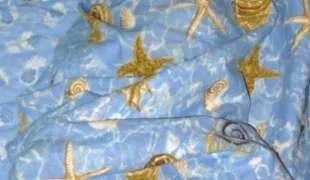 Як зшити ковдру з вовни (розміщення Статті темі) Як зшити ковдру з вовни