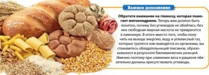Як спалити жир, схуднути - 21 століття (вільні жирні кислоти) Як спалити жир, схуднути - 21 століття