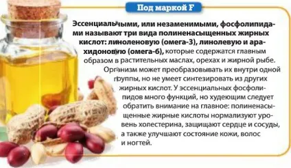 Як спалити жир, схуднути - 21 століття (спалити) Як спалити жир, схуднути - 21 століття
