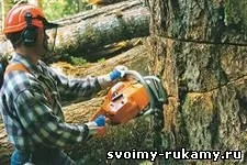 Як видалити пень своїми руками - 19 серпня 2014 року - будинок і ділянку своїми руками (2014 року) Як видалити пень своїми руками - 19 серпня 2014 року - будинок і ділянку своїми руками