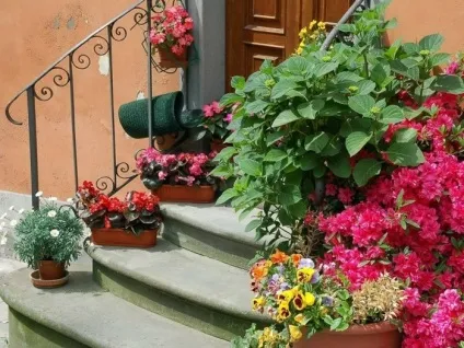 Як прикрасити терасу квітами фото (прикрасити терасу квітами) Як прикрасити терасу квітами фото