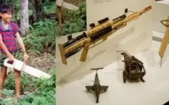 Як виглядають нові оленячі роги (виглядають) Як виглядають нові оленячі роги