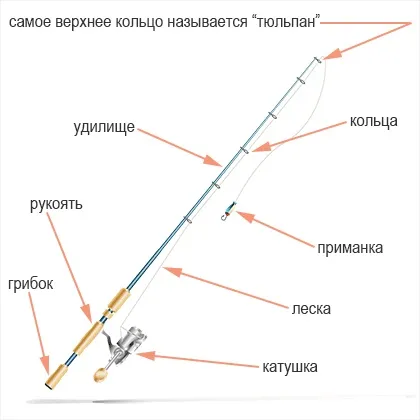 Як вибрати спінінг поради та рекомендації (спінінг) Як вибрати спінінг поради та рекомендації