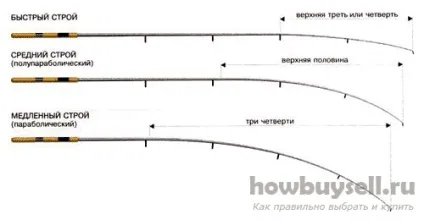 Як вибрати спінінг для вдалої риболовлі (грам) Як вибрати спінінг для вдалої риболовлі