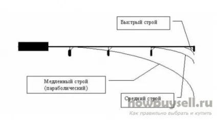 Як вибрати спінінг для вдалої риболовлі (вдалою) Як вибрати спінінг для вдалої риболовлі