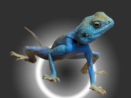 Як у фотошопі поміняти фон, уроки фотошопа (photoshop) - відеоуроки фотошопа, дизайн, фотографія (фотошопі) Як у фотошопі поміняти фон, уроки фотошопа (photoshop) - відеоуроки фотошопа, дизайн, фотографія