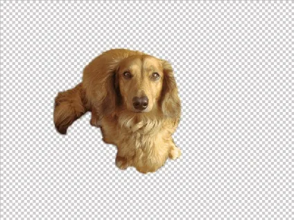 Як у фотошопі поміняти фон, уроки фотошопа (photoshop) - відеоуроки фотошопа, дизайн, фотографія (поміняти) Як у фотошопі поміняти фон, уроки фотошопа (photoshop) - відеоуроки фотошопа, дизайн, фотографія