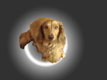 Як у фотошопі поміняти фон, уроки фотошопа (photoshop) - відеоуроки фотошопа, дизайн, фотографія (зміни фону фотошопі) Як у фотошопі поміняти фон, уроки фотошопа (photoshop) - відеоуроки фотошопа, дизайн, фотографія