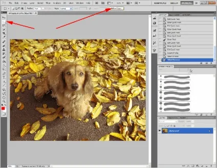 Як у фотошопі поміняти фон, уроки фотошопа (photoshop) - відеоуроки фотошопа, дизайн, фотографія (фотошопі) Як у фотошопі поміняти фон, уроки фотошопа (photoshop) - відеоуроки фотошопа, дизайн, фотографія
