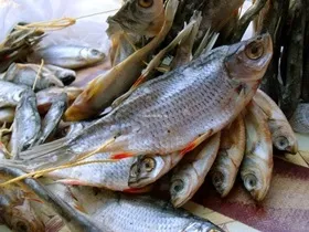 Як запекти картоплю у фользі в духовці по-різному