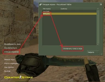 Як заткнути гравця в cs 1