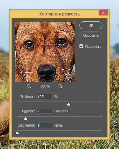 Картина маслом в фотошоп