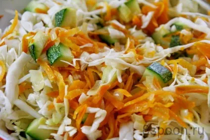 Капуста тушкована з кабачками рецепт, який вас 100% порадує! 8 ложок (натираємо крупній тертці) Капуста тушкована з кабачками рецепт, який вас 100% порадує! 8 ложок