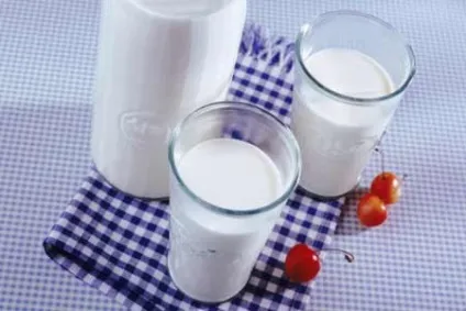 Кефір користь і шкода молочного продукту, показання та протипоказання (протипоказання) Кефір користь і шкода молочного продукту, показання та протипоказання