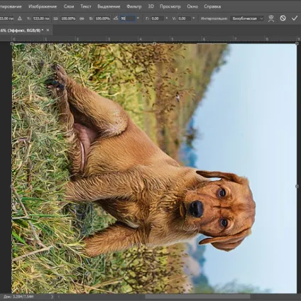 Картина маслом в фотошоп