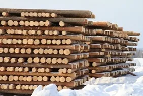 Кіровські зруби - проектування, виробництво і будівництво дерев'яних будинків і бань (будівництво дерев'яних будинків) Кіровські зруби - проектування, виробництво і будівництво дерев'яних будинків і бань