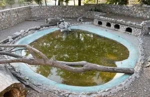 Клітки для нутрій своїми руками як побудувати, інструкція і технологія побудови (побудувати) Клітки для нутрій своїми руками як побудувати, інструкція і технологія побудови