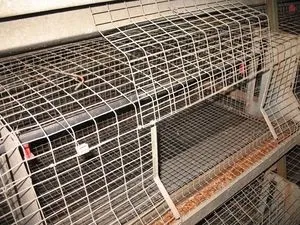 Клітки для нутрій своїми руками як побудувати, інструкція і технологія побудови (клітини) Клітки для нутрій своїми руками як побудувати, інструкція і технологія побудови