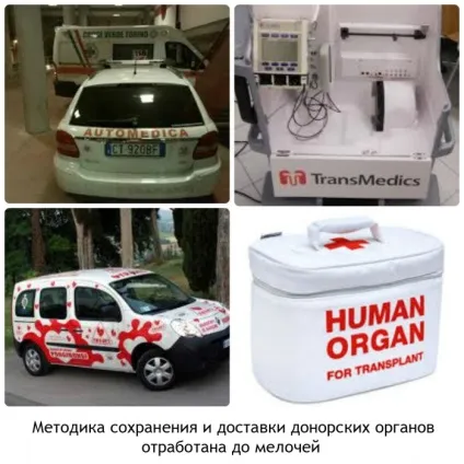 Коли треба робити пересадку серця, фактори ризику і виживання після операції, відео (серця) Коли треба робити пересадку серця, фактори ризику і виживання після операції, відео