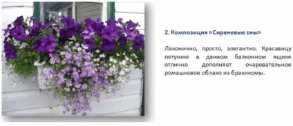 Контейнерне квітникарство, красиві ідеї для саду (контейнерне квітникарство) Контейнерне квітникарство, красиві ідеї для саду