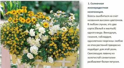 Контейнерне квітникарство, красиві ідеї для саду (посадка рослин в вазон і догляд за ним) Контейнерне квітникарство, красиві ідеї для саду