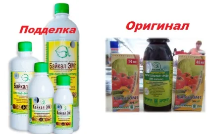 Компост в саду опис, практичне застосування і результат (саду) Компост в саду опис, практичне застосування і результат