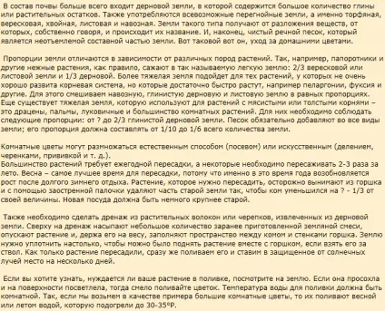 Кімнатні рослини фото і назви, невибагливі квітучі рослини з описом, фото і назвою (квітучі кімнатні рослини) Кімнатні рослини фото і назви, невибагливі квітучі рослини з описом, фото і назвою