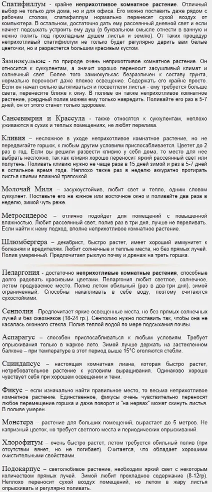 Кімнатні рослини фото і назви, невибагливі квітучі рослини з описом, фото і назвою (невибагливі) Кімнатні рослини фото і назви, невибагливі квітучі рослини з описом, фото і назвою