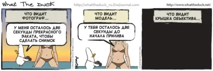 Інструменти стробіста