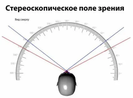 Цікаві факти про очі людини