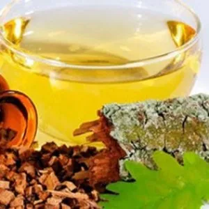 Кора дуба лікувальні властивості, застосування, протипоказання, рецепти з корою дуба (дуба) Кора дуба лікувальні властивості, застосування, протипоказання, рецепти з корою дуба