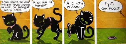 Кошкоманам різного віку забавні комікси - кішки-мишки - в гостях у капітошки (всіх) Кошкоманам різного віку забавні комікси - кішки-мишки - в гостях у капітошки