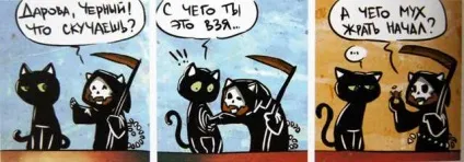 Кошкоманам різного віку забавні комікси - кішки-мишки - в гостях у капітошки (кошкоманам) Кошкоманам різного віку забавні комікси - кішки-мишки - в гостях у капітошки