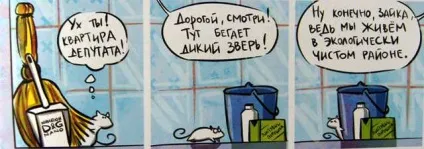 Кошкоманам різного віку забавні комікси - кішки-мишки - в гостях у капітошки (вікових груп) Кошкоманам різного віку забавні комікси - кішки-мишки - в гостях у капітошки