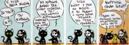 Кошкоманам різного віку забавні комікси - кішки-мишки - в гостях у капітошки (кумедні) Кошкоманам різного віку забавні комікси - кішки-мишки - в гостях у капітошки