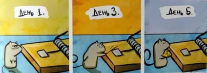 Кошкоманам різного віку забавні комікси - кішки-мишки - в гостях у капітошки (комікси) Кошкоманам різного віку забавні комікси - кішки-мишки - в гостях у капітошки