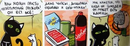 Кошкоманам різного віку забавні комікси - кішки-мишки - в гостях у капітошки (кумедні) Кошкоманам різного віку забавні комікси - кішки-мишки - в гостях у капітошки