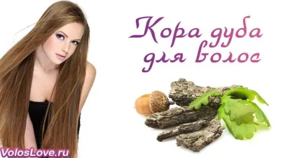 Кора дуба для волосся 13 домашніх рецептів та відгуки (кора дуба волосся фарбування ополіскування настій відвар маски відгуки) Кора дуба для волосся 13 домашніх рецептів та відгуки