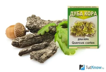 Кора дуба для волосся, користь, способи застосування і рецепти (волосся) Кора дуба для волосся, користь, способи застосування і рецепти