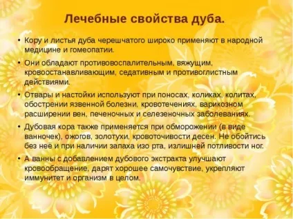 Кора дуба - лікувальні властивості і протипоказання застосування (основі дубової кори) Кора дуба - лікувальні властивості і протипоказання застосування