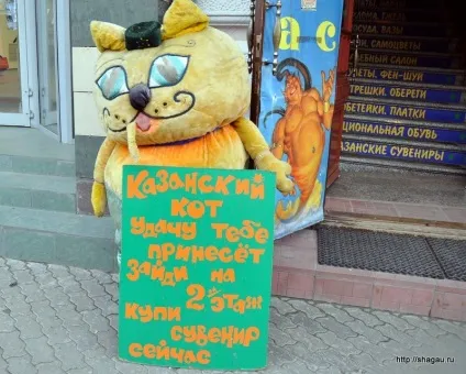 Кот казанський або чому в Казані так популярні коти (чому в Казані люблять котів) Кот казанський або чому в Казані так популярні коти