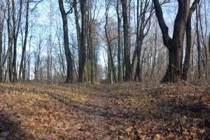 Кріуша - Саровський краєзнавець