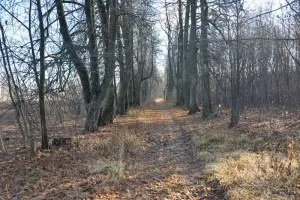 Кріуша - Саровський краєзнавець