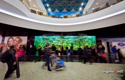 Короткий путівник по ТРЦ ocean plaza що, як і навіщо - статті - афіша bigmir) net (ТРЦ) Короткий путівник по ТРЦ ocean plaza що, як і навіщо - статті - афіша bigmir) net