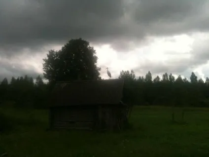 Кози, город і перспективи