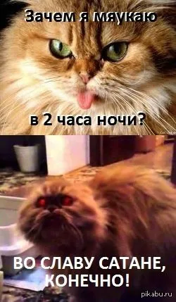Кумамон, на славу сатані, netlore кумамон, Kumamoto, сатана, японія, маскот, ведмеді, талісман (кумамон) Кумамон, на славу сатані, netlore кумамон, Kumamoto, сатана, японія, маскот, ведмеді, талісман
